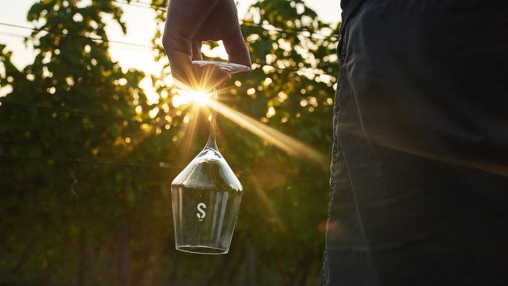 Degustace vín Šimonovič