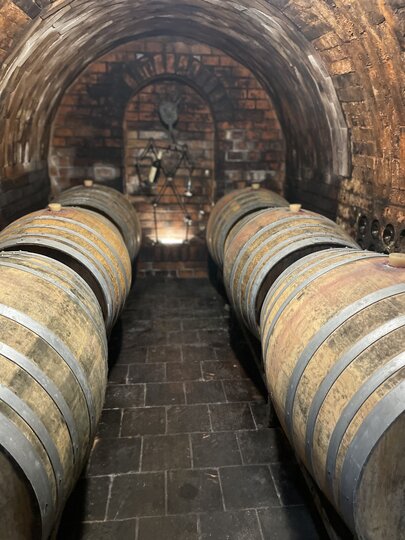 Objevte kouzlo mladých vín