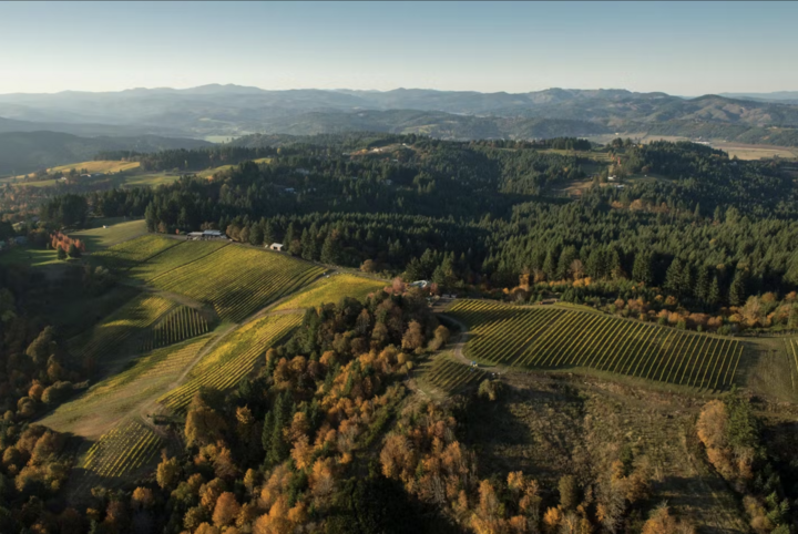 Degustace vín z vinařství Kramer 